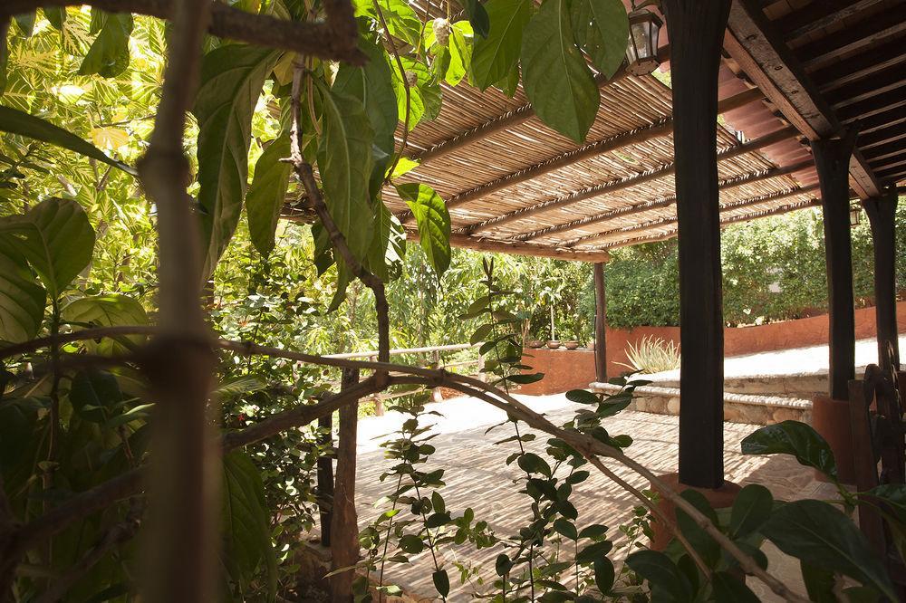 Casa Huijazoo Nature & Balance Hotel Mazunte Buitenkant foto
